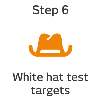 ROKET-DS Step 6 - White hat test targets