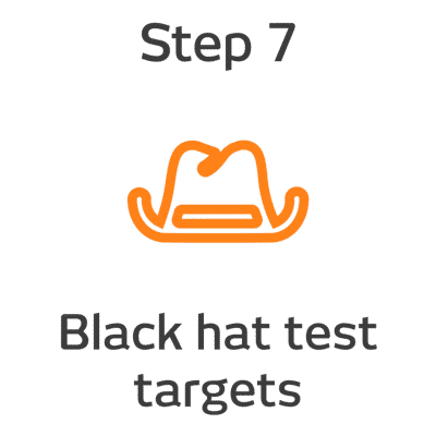 ROKET-DS Step 7 - Black hat test targets