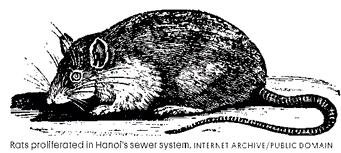 hanoi rat woodcut image